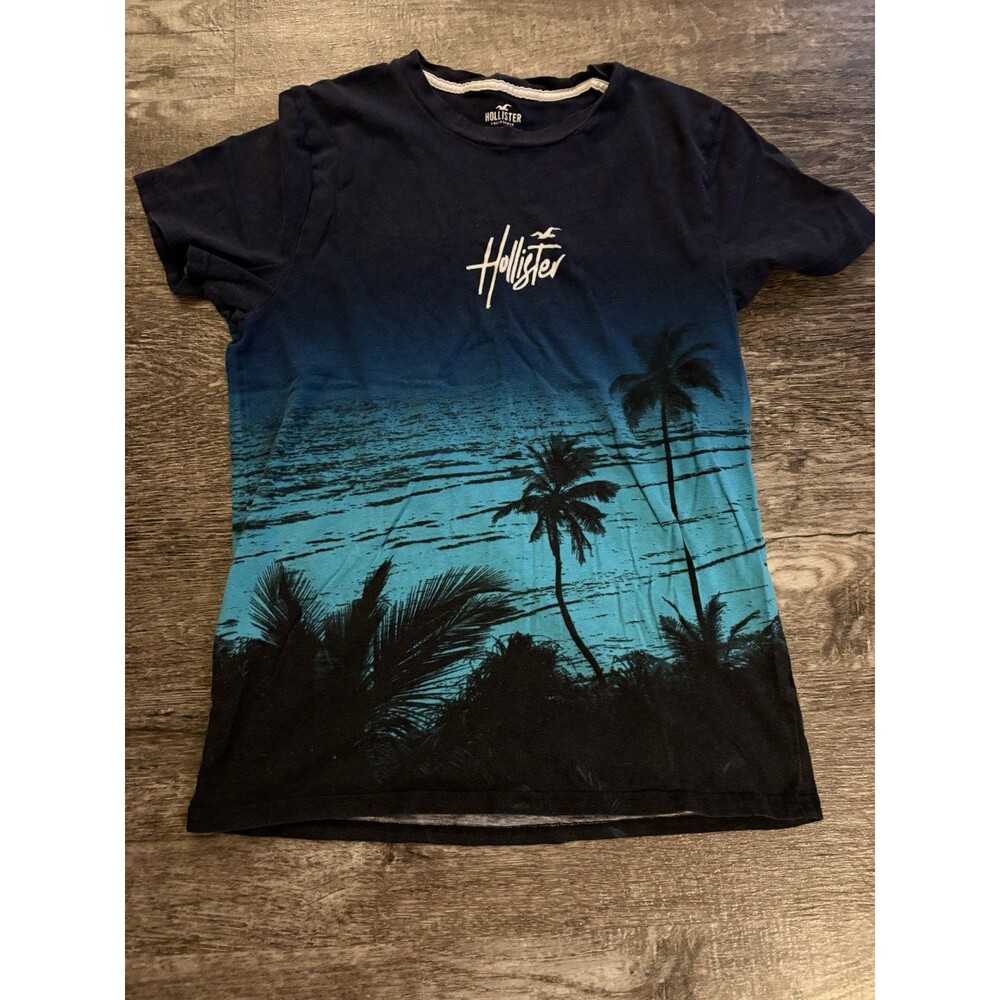 Hollister California Ombre Palm Tree Graphic Tee size M 2015 Surf Beach Palm